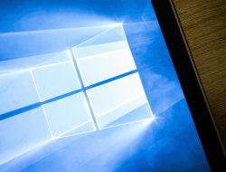 window world of lexington reviews – Discover Quality