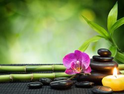 Massage Therapy Schools Boise Idaho For Your Career