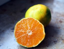 Orange County Drug Treatment Centers Your Path to Recovery