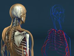 Human Resource Systems For Small Business Made Simple