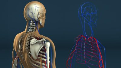 Human Resource Management Software Comparison Made Easy