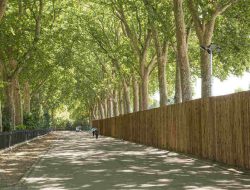 Smart shield windows reviews a game changer in energy efficiency